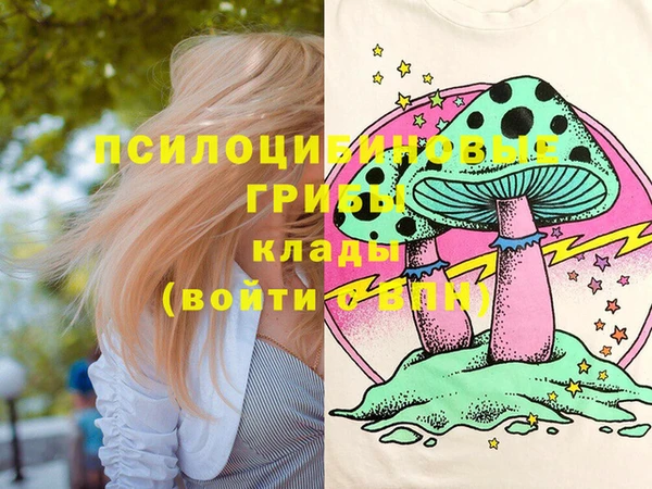 MDMA Бородино