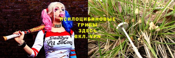 MDMA Бородино