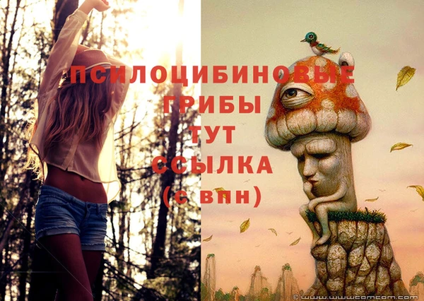 MDMA Бородино