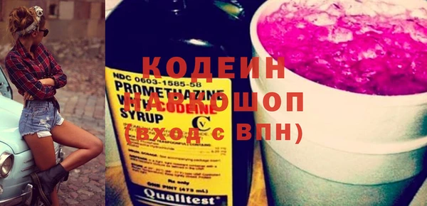 крисы Бронницы