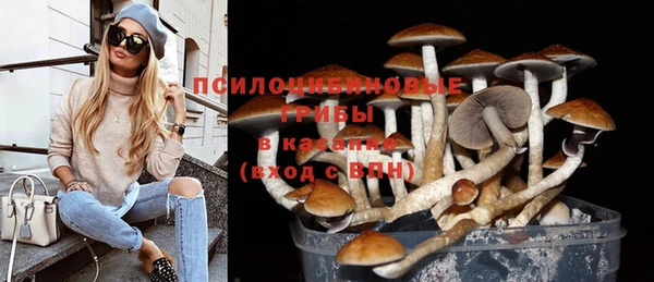 крисы Бронницы