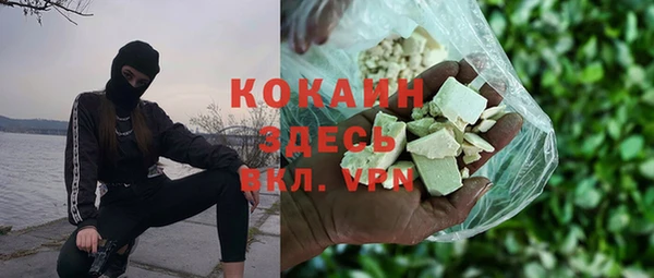 крисы Бронницы