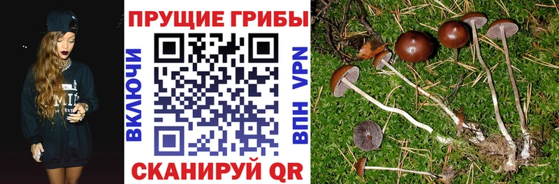 Псилоцибиновые грибы MAGIC MUSHROOMS  Сыктывкар 